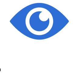 vision